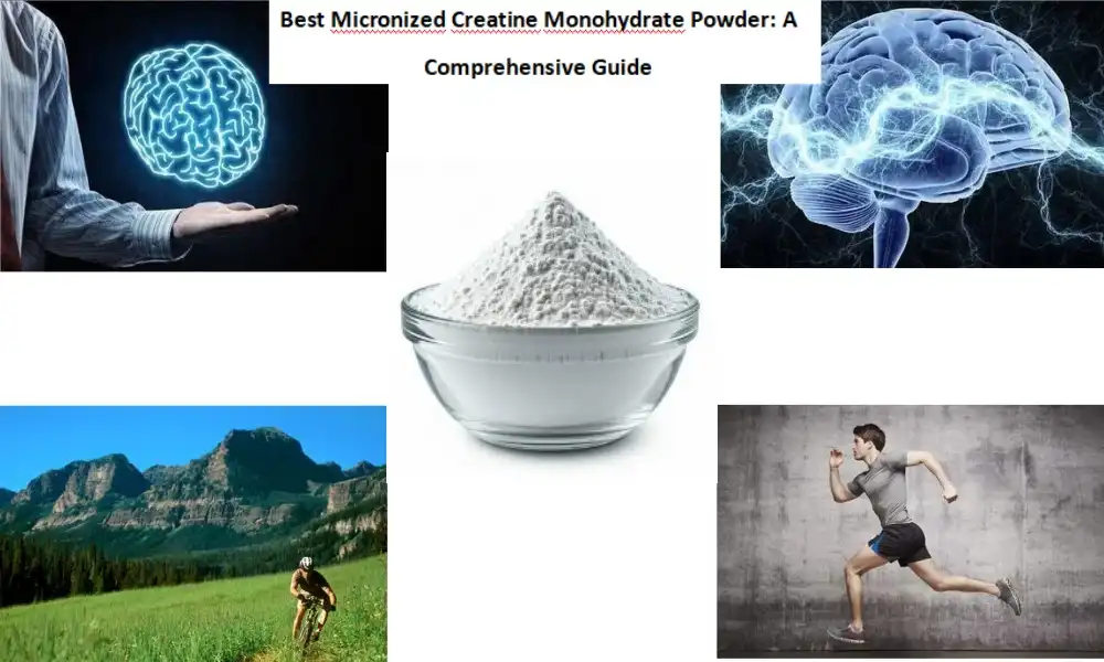 Best Micronized Creatine Monohydrate Powder: A Comprehensive Guide